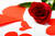Fußpflege - Arrangement 1 1 Behandlung, ca. 45 Minuten